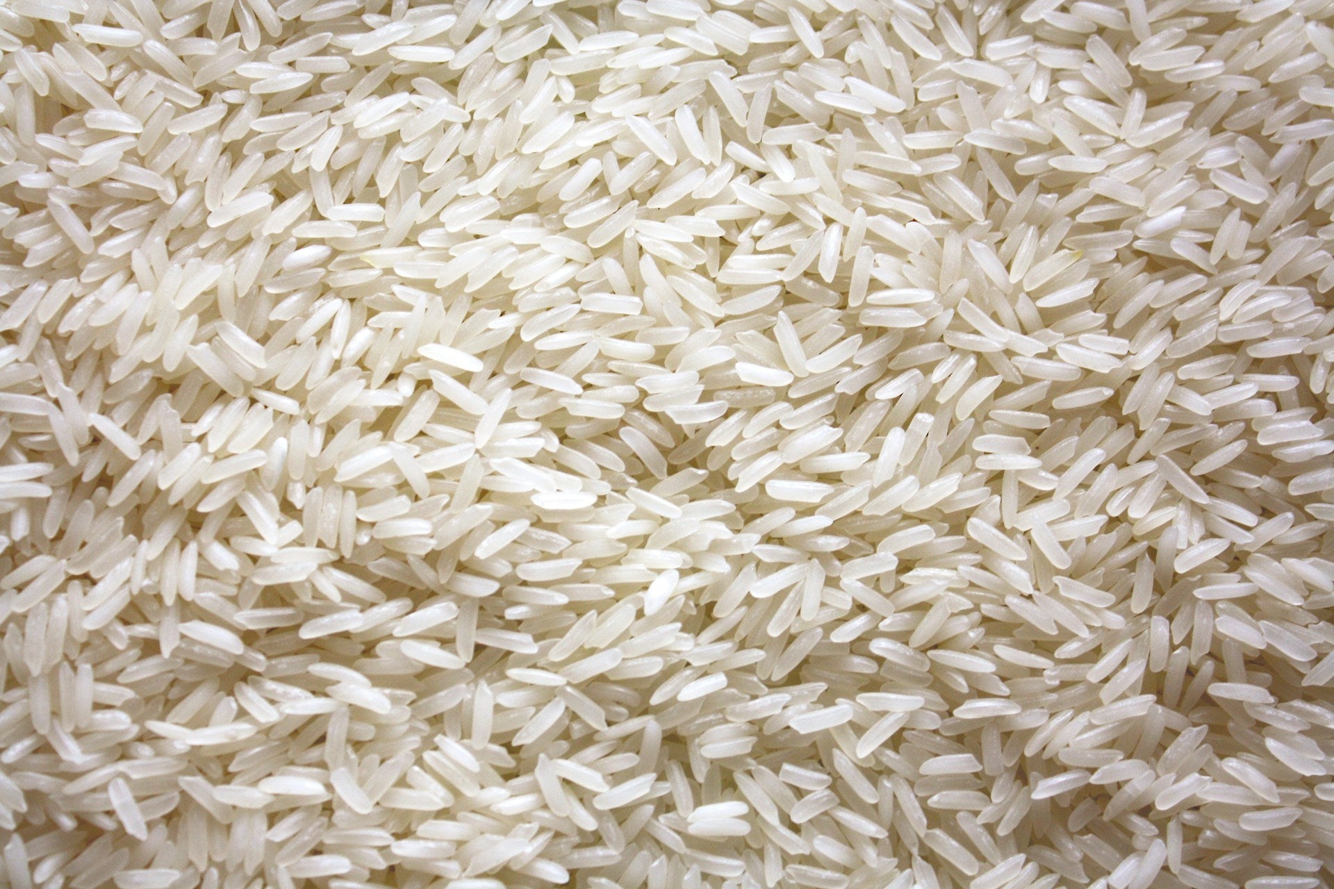 bundlehalal