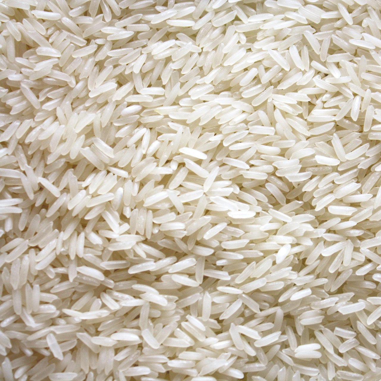 bundlehalal
